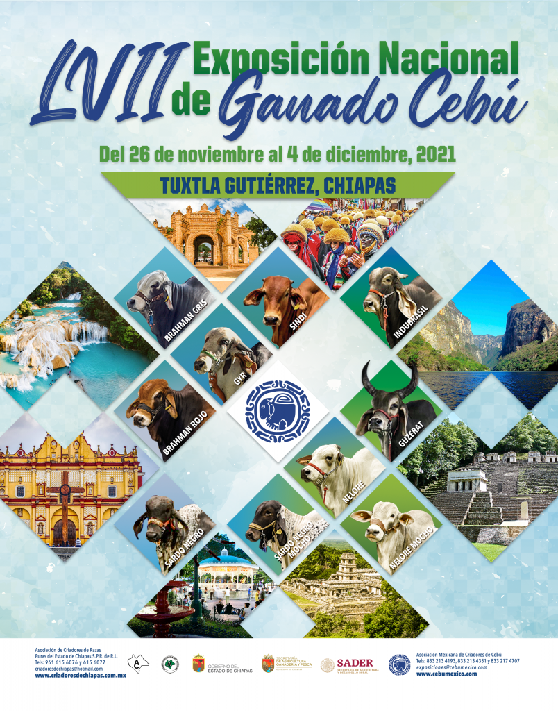 LVII Exposición Nacional de Ganado Cebú | Asociación Mexicana de ...
