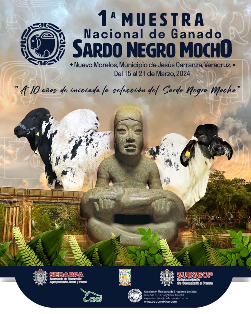 I Muestra Nacional de Ganado Sardo Negro Mocho 2024 | Asociación ...