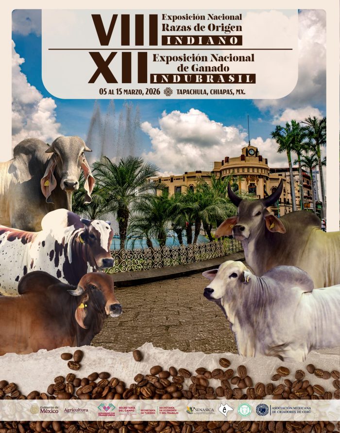 POSTER_ INDIANAS_ EN INDUBRASIL 2026 POSTER_ INDIANAS_ EN INDUBRASIL 2026