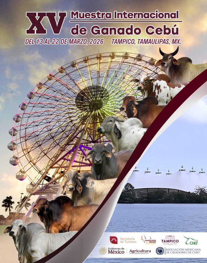 POSTER_ XV MUESTRA TAMPICO_ 2026