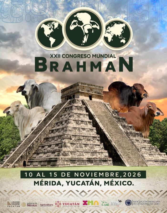 POSTER_ WBC 2026