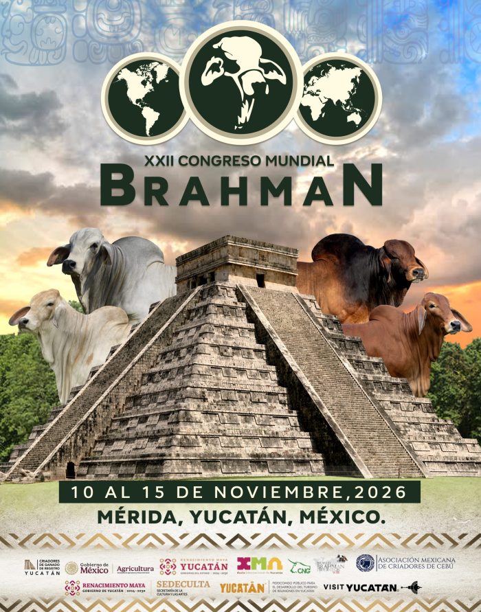 POSTER_ WBC 2026_logos