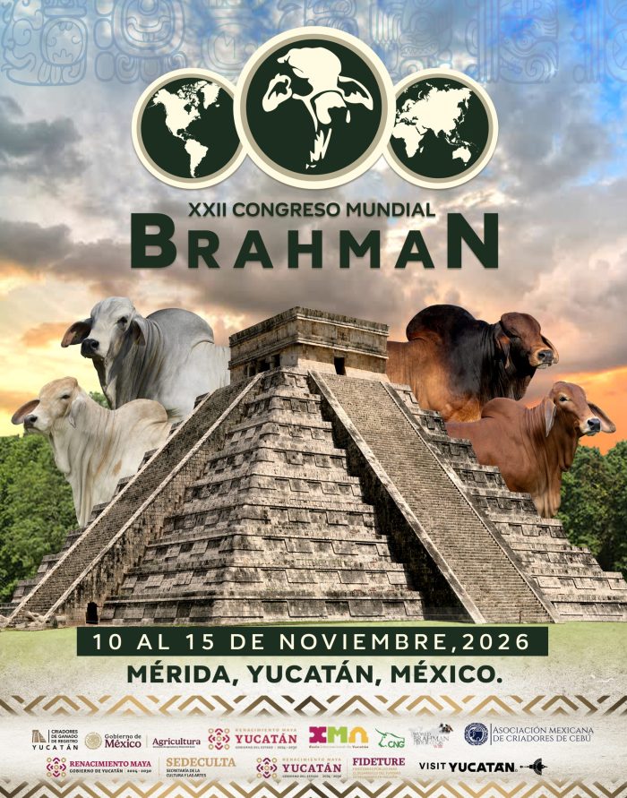 POSTER_ WBC 2026